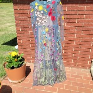 See Thru Embroidered Dress